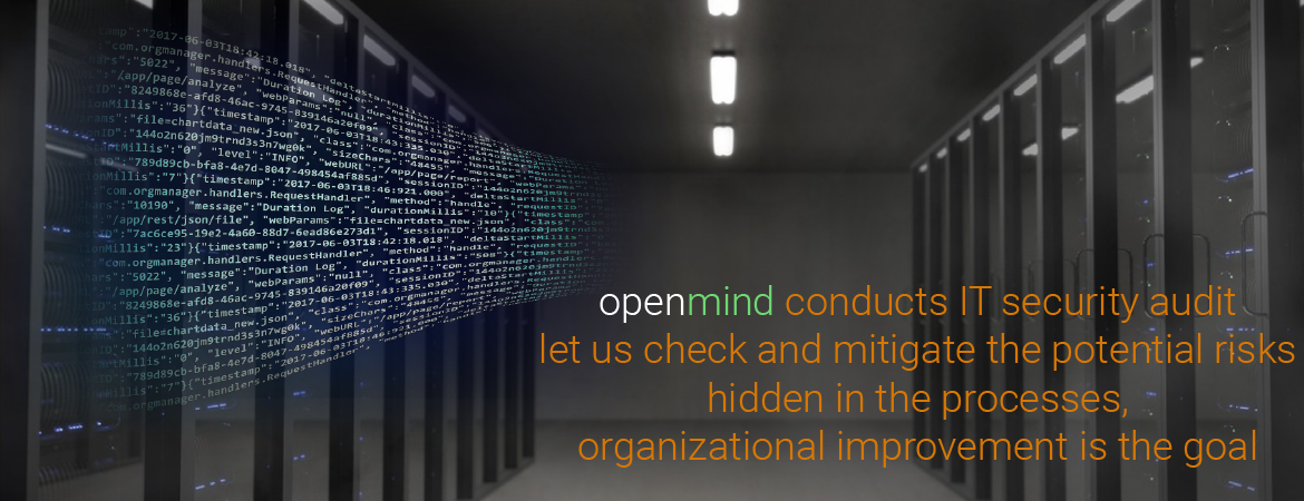 openmind IT security audit
